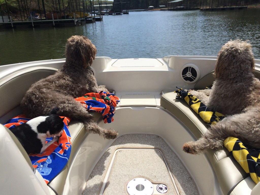 Photo Credit: Cate Bogue